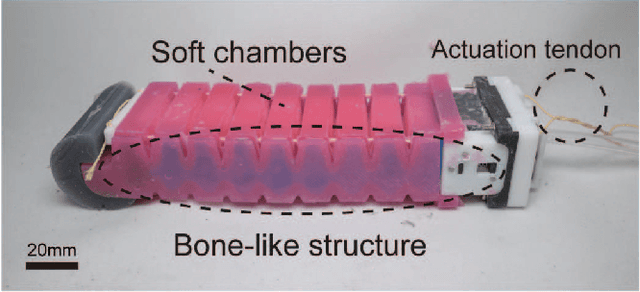 Figure 1 for A Soft-rigid Hybrid Actuator with Multi-direction Tunable Stiffness Property