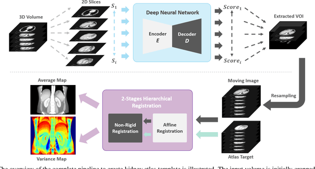Figure 2 for Multi-Contrast Computed Tomography Healthy Kidney Atlas