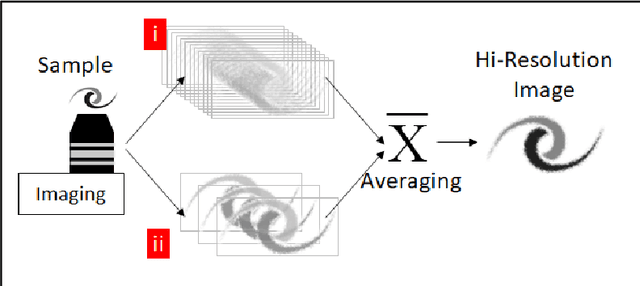 Figure 1 for Deep machine learning-assisted multiphoton microscopy to reduce light exposure and expedite imaging