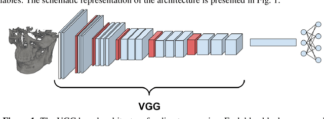 Figure 1 for Cephalometric Landmark Regression with Convolutional Neural Networks on 3D Computed Tomography Data