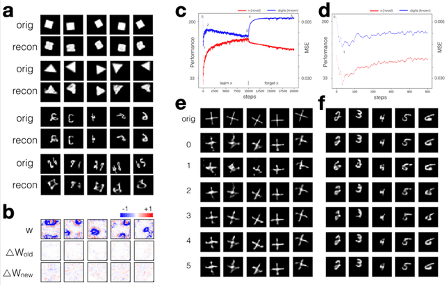Figure 4 for Visualizing and Understanding Vision System