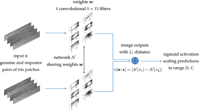 Figure 4 for Post-Mortem Iris Recognition Resistant to Biological Eye Decay Processes