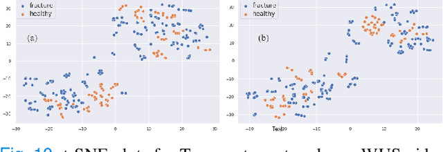 Figure 2 for Physics Driven Domain Specific Transporter Framework with Attention Mechanism for Ultrasound Imaging