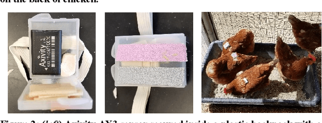 Figure 2 for Time Series Classification: Lessons Learned in the (Literal) Field while Studying Chicken Behavior