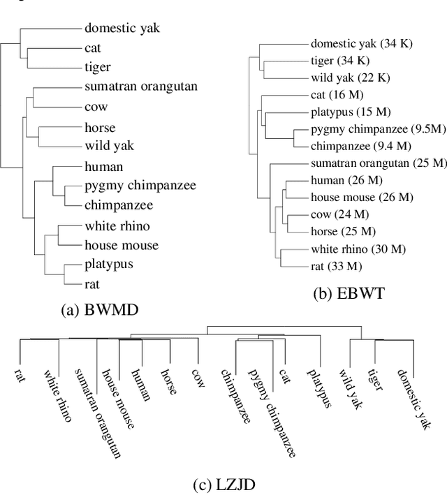 Figure 4 for A New Burrows Wheeler Transform Markov Distance