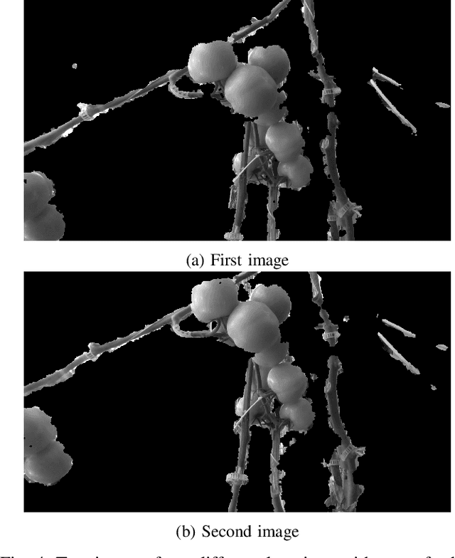 Figure 4 for Towards developing a realistic robotics simulation environment of an indoor vegetable greenhouse