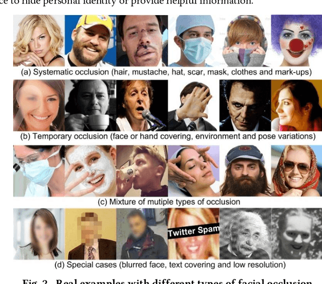Figure 3 for Facial Expression Analysis under Partial Occlusion: A Survey