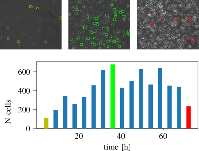 Figure 2 for Automated Characterization of Catalytically Active Inclusion Body Production in Biotechnological Screening Systems