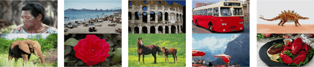 Figure 2 for Content-Based Image Retrieval Based on Late Fusion of Binary and Local Descriptors