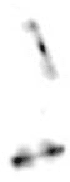 Figure 1 for Data-Efficient Classification of Radio Galaxies