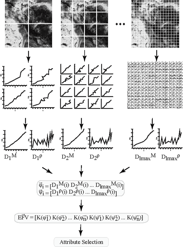 Figure 3 for Texture analysis by multi-resolution fractal descriptors