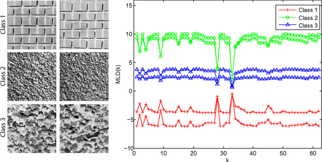 Figure 4 for Texture analysis by multi-resolution fractal descriptors
