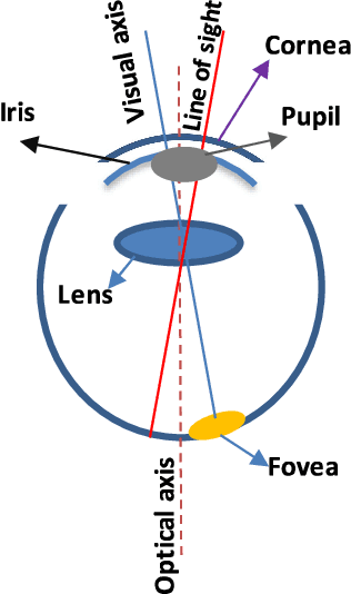Figure 1 for Presentation Attack Detection Methods based on Gaze Tracking and Pupil Dynamic: A Comprehensive Survey