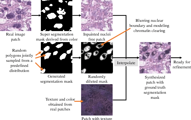 Figure 4 for Unsupervised Histopathology Image Synthesis
