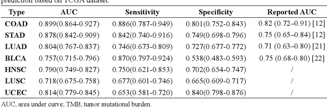 Figure 1 for Pan-cancer computational histopathology reveals tumor mutational burden status through weakly-supervised deep learning