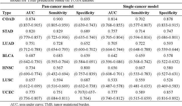 Figure 3 for Pan-cancer computational histopathology reveals tumor mutational burden status through weakly-supervised deep learning