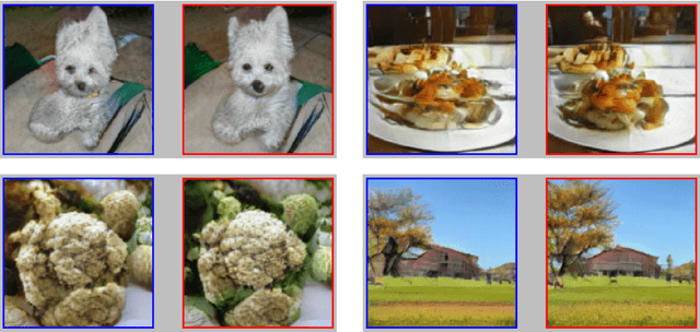 Figure 1 for Discriminator optimal transport