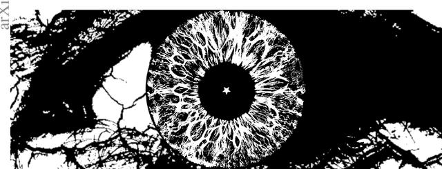 Figure 1 for Pistol: Pupil Invisible Supportive Tool to extract Pupil, Iris, Eye Opening, Eye Movements, Pupil and Iris Gaze Vector, and 2D as well as 3D Gaze