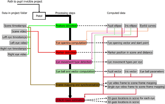 Figure 2 for Pistol: Pupil Invisible Supportive Tool to extract Pupil, Iris, Eye Opening, Eye Movements, Pupil and Iris Gaze Vector, and 2D as well as 3D Gaze