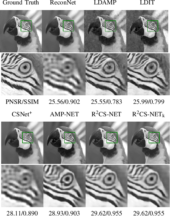 Figure 2 for Robust Deep Compressive Sensing with Recurrent-Residual Structural Constraints