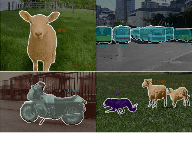 Figure 1 for NamedMask: Distilling Segmenters from Complementary Foundation Models