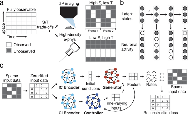 Figure 1 for Deep inference of latent dynamics with spatio-temporal super-resolution using selective backpropagation through time