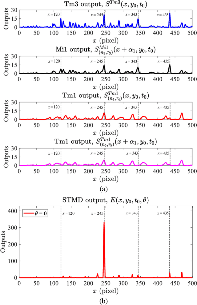 Figure 2 for A Robust Visual System for Small Target Motion Detection Against Cluttered Moving Backgrounds