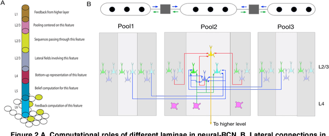 Figure 2 for Cortical Microcircuits from a Generative Vision Model