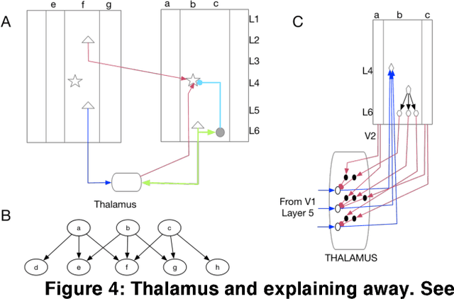 Figure 4 for Cortical Microcircuits from a Generative Vision Model