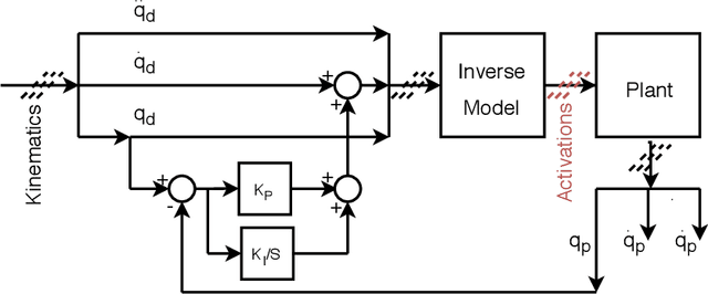 Figure 2 for Simple Kinematic Feedback Enhances Autonomous Learning in Bio-Inspired Tendon-Driven Systems