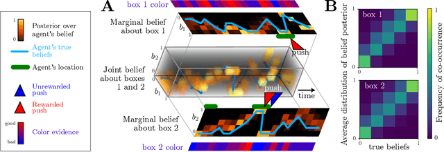 Figure 4 for Inverse POMDP: Inferring What You Think from What You Do