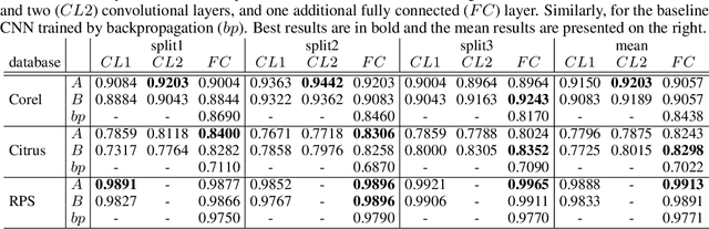 Figure 3 for Convolutional Neural Networks from Image Markers