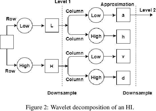 Figure 3 for Texture Characterization of Histopathologic Images Using Ecological Diversity Measures and Discrete Wavelet Transform