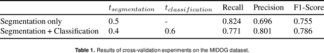 Figure 1 for Stain-Robust Mitotic Figure Detection for the Mitosis Domain Generalization Challenge