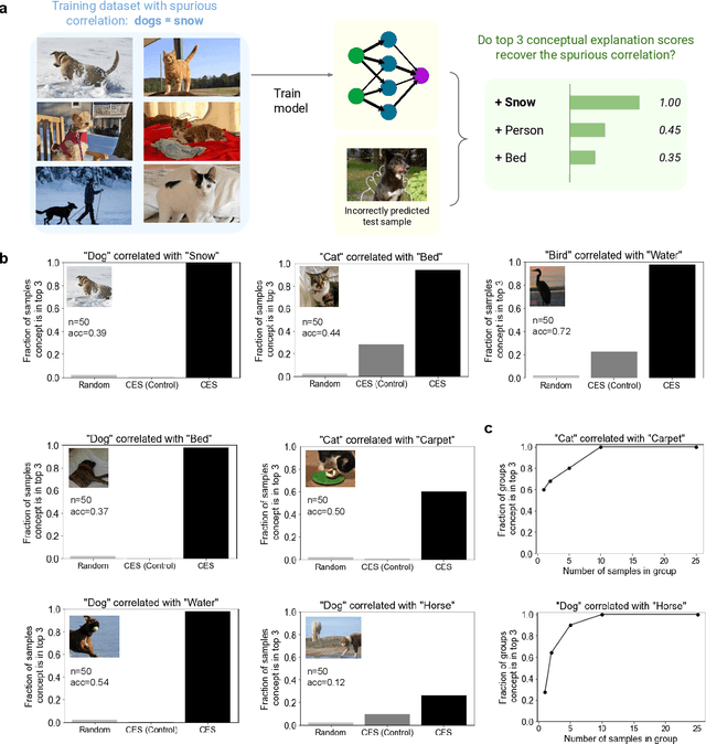 Figure 1 for Meaningfully Explaining a Model's Mistakes
