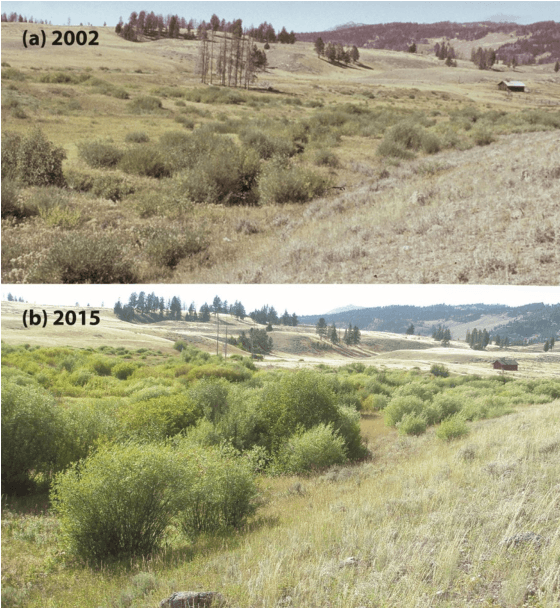 Figure 2 for Flexible and Scalable Deep Learning with MMLSpark