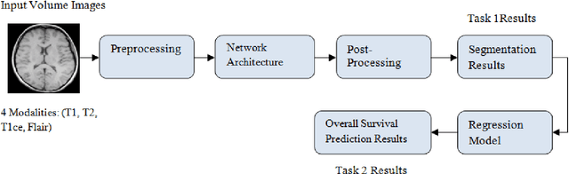 Figure 3 for A Review on End-To-End Methods for Brain Tumor Segmentation and Overall Survival Prediction