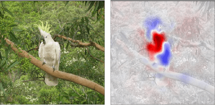 Figure 1 for Visualizing Deep Neural Network Decisions: Prediction Difference Analysis