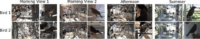 Figure 3 for 3D Bird Reconstruction: a Dataset, Model, and Shape Recovery from a Single View