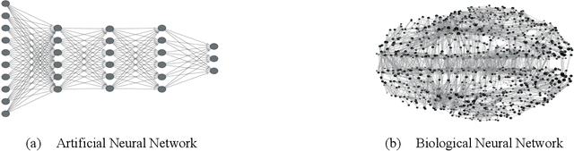 Figure 1 for Learning on Arbitrary Graph Topologies via Predictive Coding