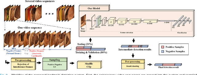 Figure 3 for Deep Learning-based Biological Anatomical Landmark Detection in Colonoscopy Videos
