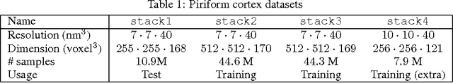 Figure 2 for Recursive Training of 2D-3D Convolutional Networks for Neuronal Boundary Detection