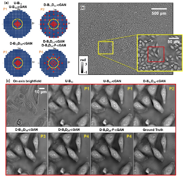 Figure 4 for Deep learning approach to Fourier ptychographic microscopy
