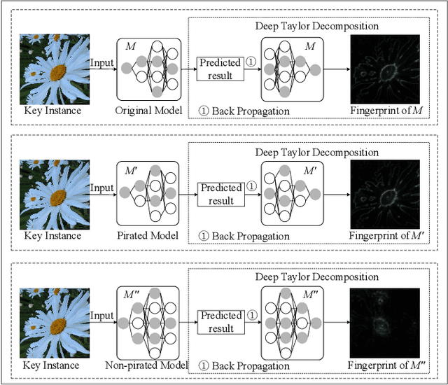 Figure 3 for InFIP: An Explainable DNN Intellectual Property Protection Method based on Intrinsic Features