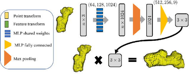 Figure 3 for Deep Multi-Structural Shape Analysis: Application to Neuroanatomy