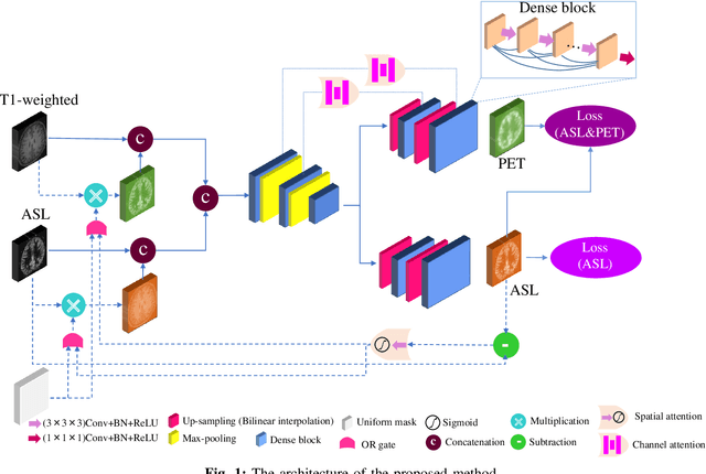 Figure 1 for ASL to PET Translation by a Semi-supervised Residual-based Attention-guided Convolutional Neural Network
