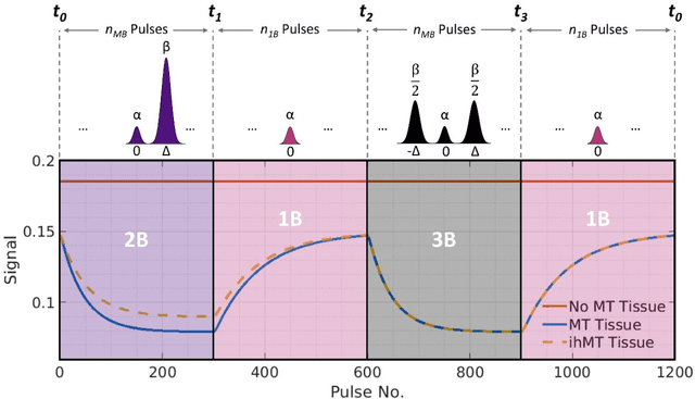 Figure 1 for Magnetization Transfer-Mediated MR Fingerprinting