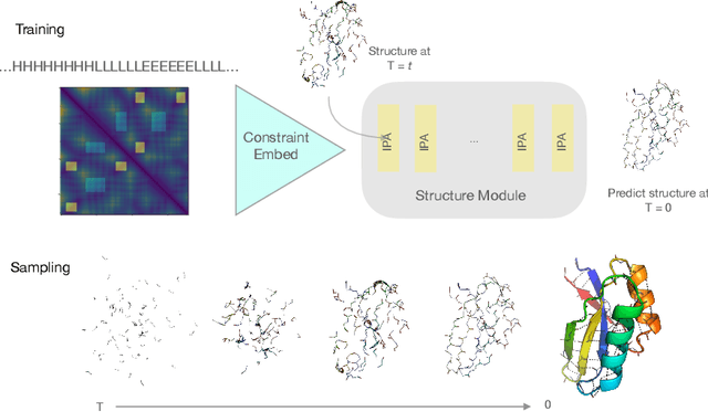 Figure 3 for Protein Structure and Sequence Generation with Equivariant Denoising Diffusion Probabilistic Models