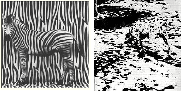 Figure 1 for A Replica Inference Approach to Unsupervised Multi-Scale Image Segmentation