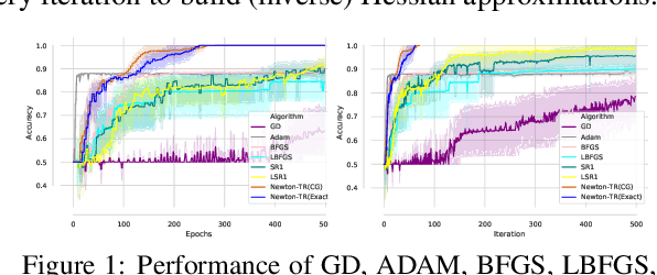 Figure 1 for Quasi-Newton Methods for Deep Learning: Forget the Past, Just Sample